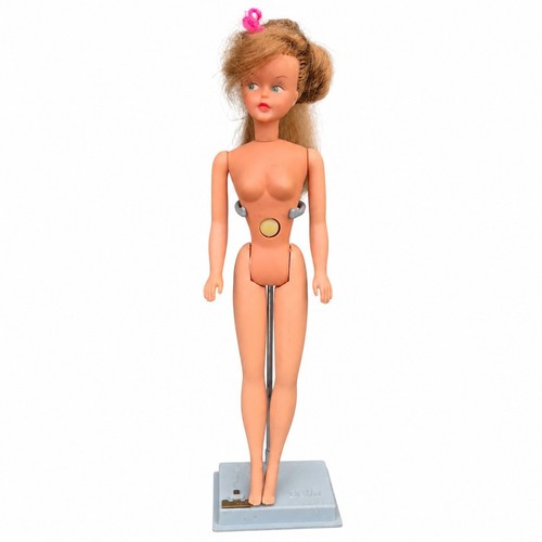 Poupée mannequin bella tressy - poupée,