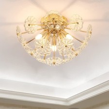 20" Ceiling Light 6 Lights