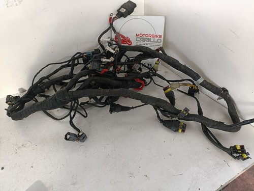 Câblage complet agusta - câblage,