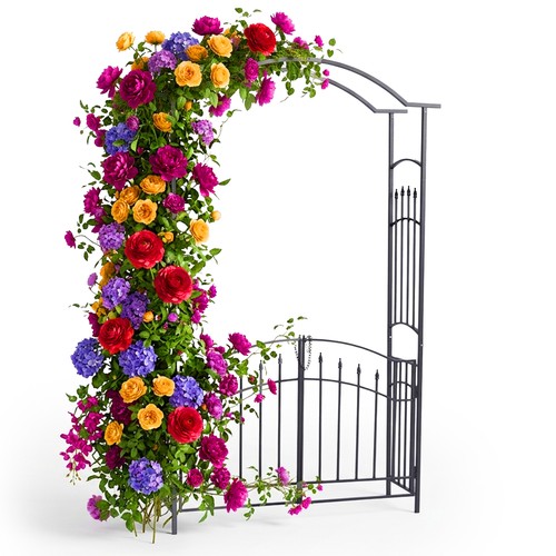 Arche roses - roses,,