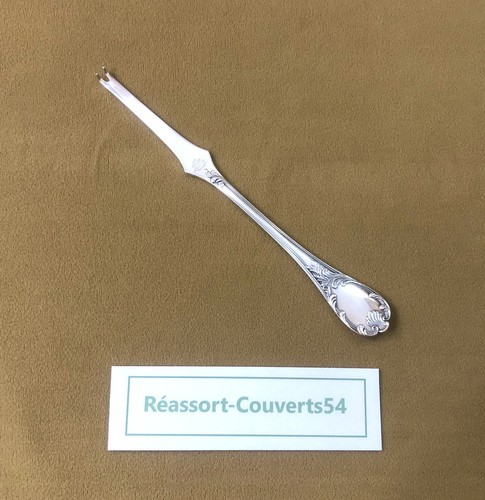 Curette homard crustacés - curette,