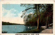 Bay Port, Mich, Tow, Bolagetan Michigan, Maple Street, Warden, Grange Postcard