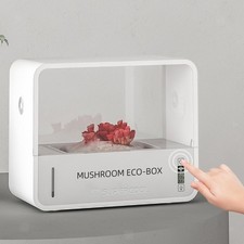 Chambre de fructification de