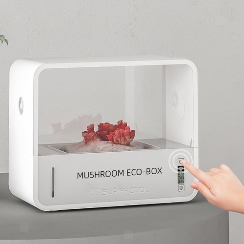 Chambre fructification de - chambre,