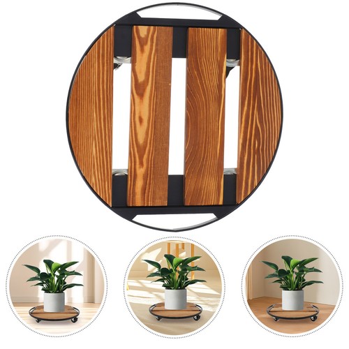 Repose plante plateau - plante,