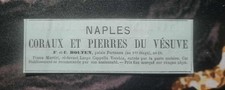 1876 Corals & Vesuvius Stones for Jewelry F.C Bolten in Naples Antique Pub