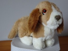 CHIEN VINTAGE HUMANE SOCIETY