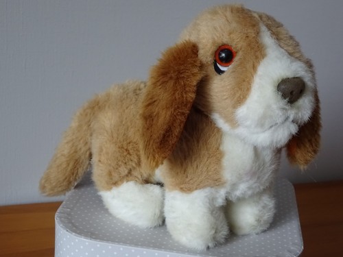 Chien vintage humane society - vintage,