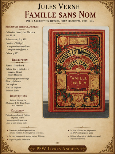 Jules verne famille sans - jules,