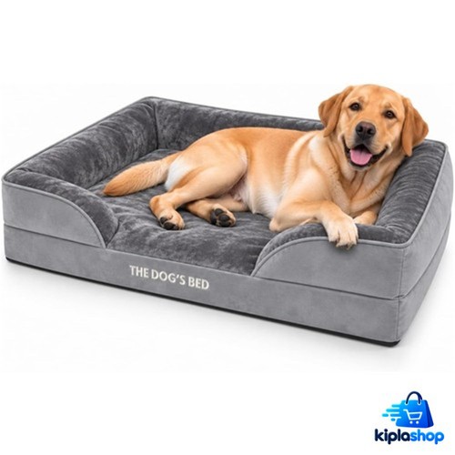 Lit orthopédique chien - , mousse