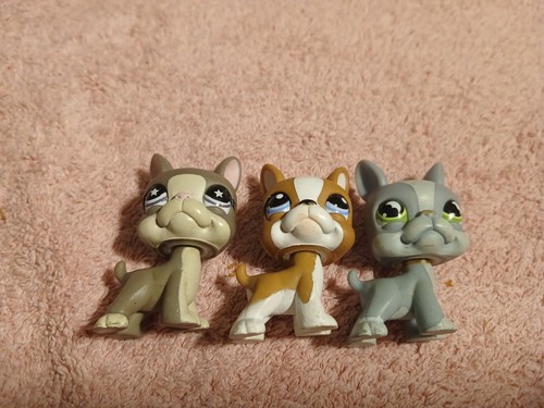 Set lot chien dog - 3, chiot