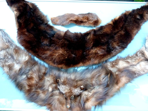 Lot pièces véritable - lot, 3