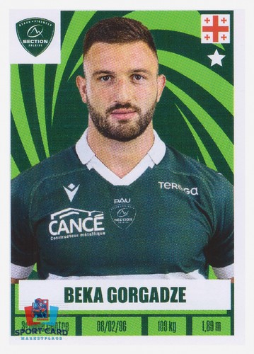 Beka gorgadze pau n - gorgadze, n°205