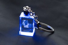 Amstaff, Chien Porte-Clés En