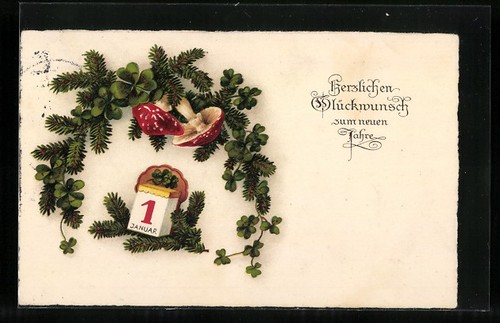 Carte postale champignons