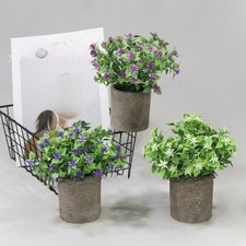 Plante en faux pot plante