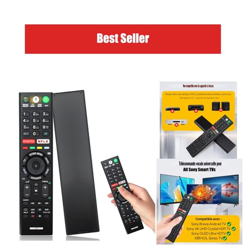 Télécommande vocale