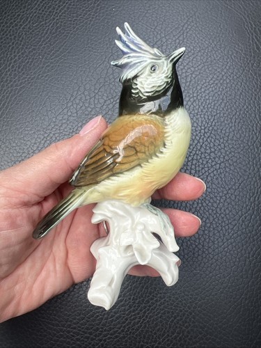 Karl ens bird vogel - bird,
