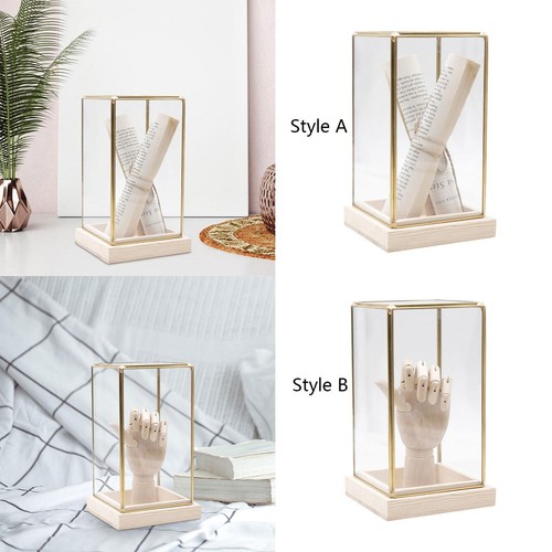 Vitrine ornement - d'ornement, de