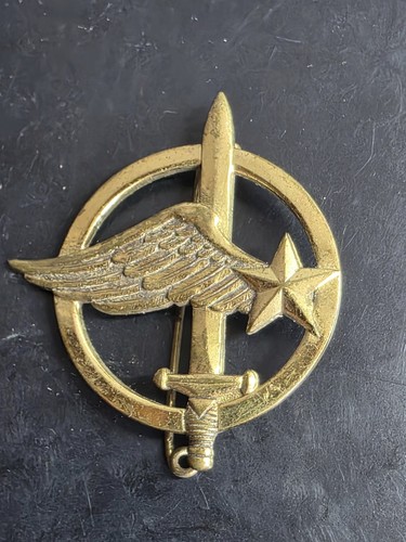 Coiffure insigne béret - de,