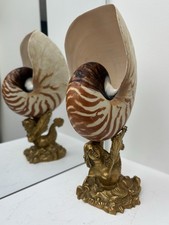 Nautile monté sur une