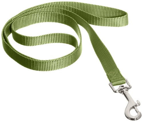 Laisse nylon pour chien - laisse,