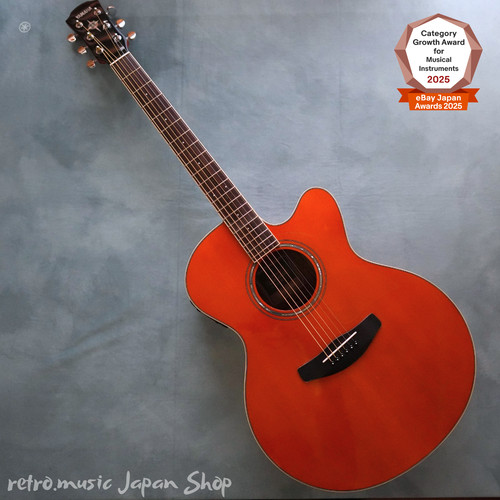 Guitare électrique acoustique