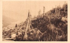 68 LE LINGE VALLEE D ORBEY