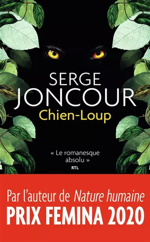 Chien loup serge joncour - serge,
