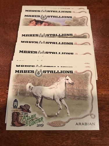 2019 allen ginter you - allen, pick