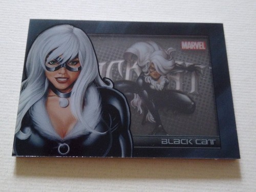 Black cat marvel universe - cat,