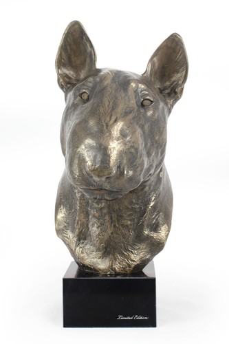 Bull terrier grand - bull, tête