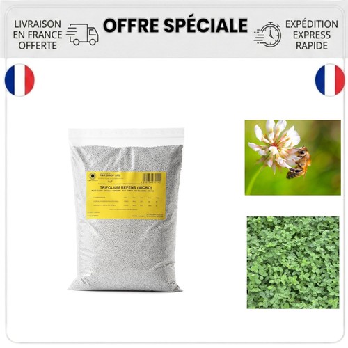 Trèfle nain trifolium - nain,