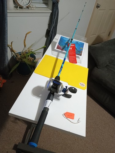 Baitcasting fishing rod - baitcasting,