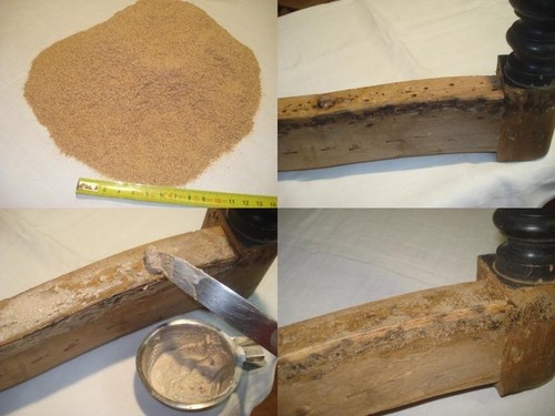 Sciure fine pour - sciure,