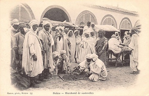 Algérie biskra marchand - biskra,