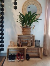 caisses en bois ,cajettes x3