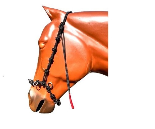 Horse bridle halter - bridle-halter, pull