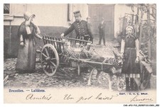 CAR-AFOP10-0457-BELGIQUE - BRUXELLES - Laitières - Voiture a chien