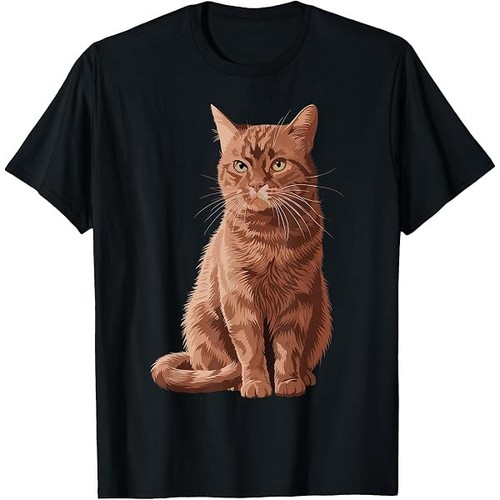 New british shorthair - new,