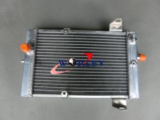 Aluminum Radiateur Pour