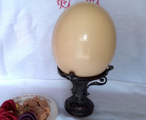 Oeuf autruche sur - d'autruche,