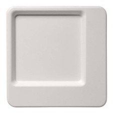 50 Assiettes Carrées À