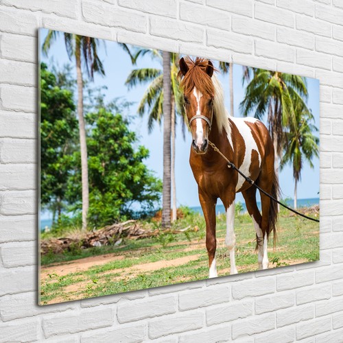 Tulup image sur verre - tulup,