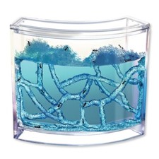 Aquarium naturel pour