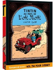 Les Aventures de Tintin: Au