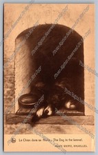 Postcard Le Chien Dans Sa Niche The Dog In The Kennel Musee Wiertz art Brussels 