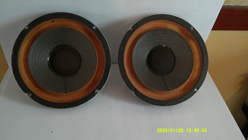 Vintage alnico 4dw woofers - vintage,