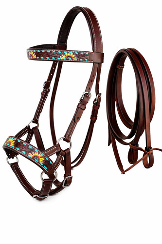 Horse western leather - western,