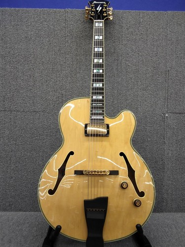 Guitare électrique ibanez - électrique,